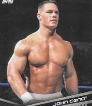 Combat/Wrestling Cards